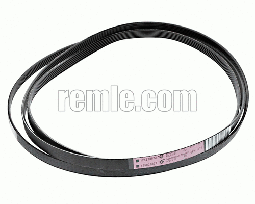 COURROIE SÉCHELINGE 1975 6PH 1258288222